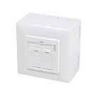 CAT6 UTP / STP overflademonteret boks, hvid
