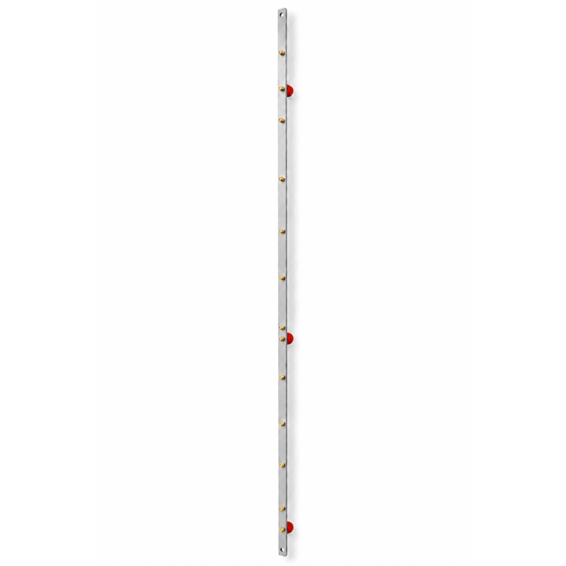 Aarding skinne 42U