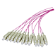 OM4 fiberoptisk pigtail lilla SC - 12 stk